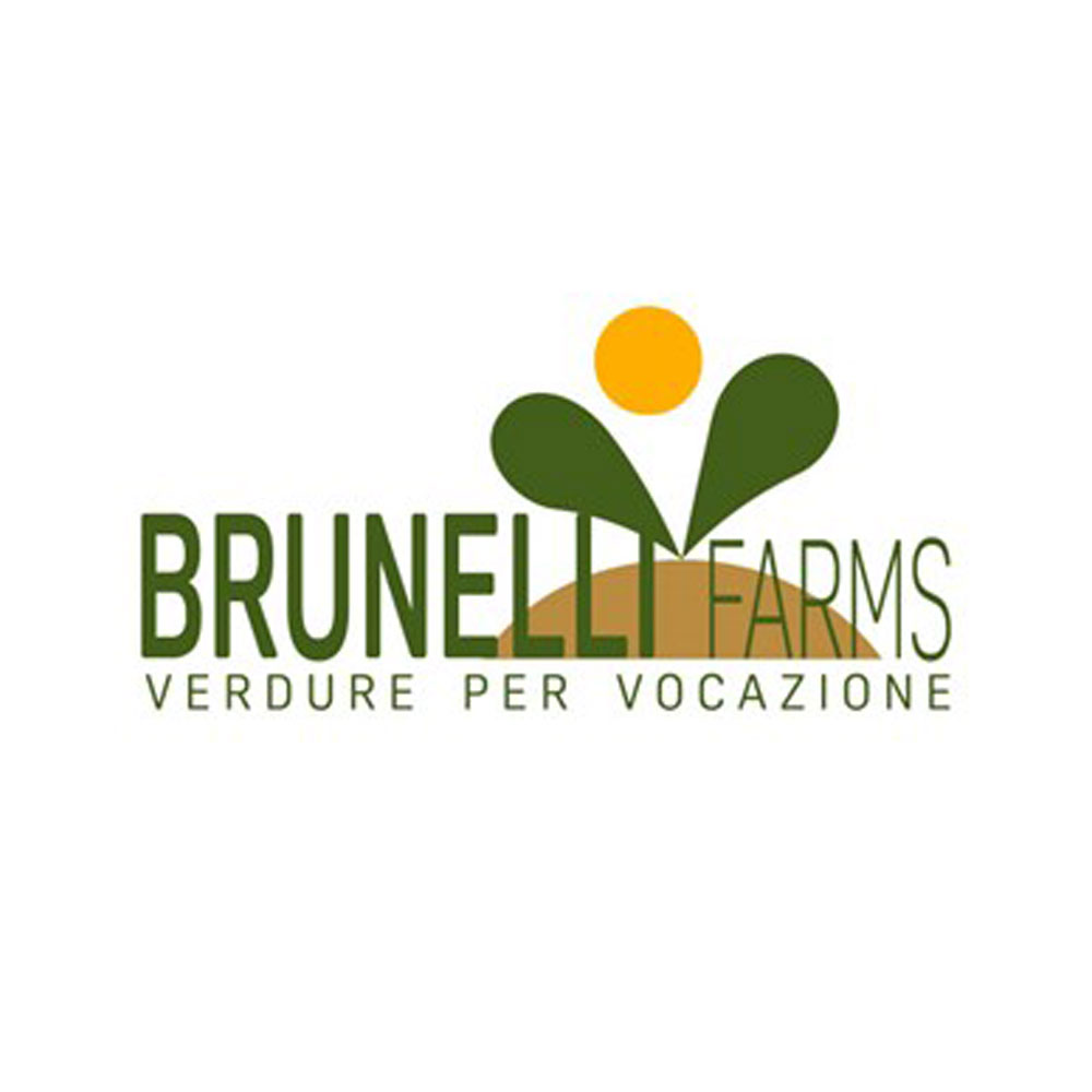 Gruppo Brunelli